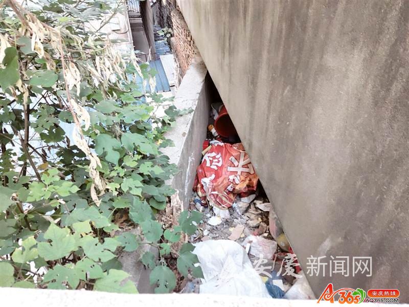 �����ع� l_CB20191106103428062078_02.tif.jpg