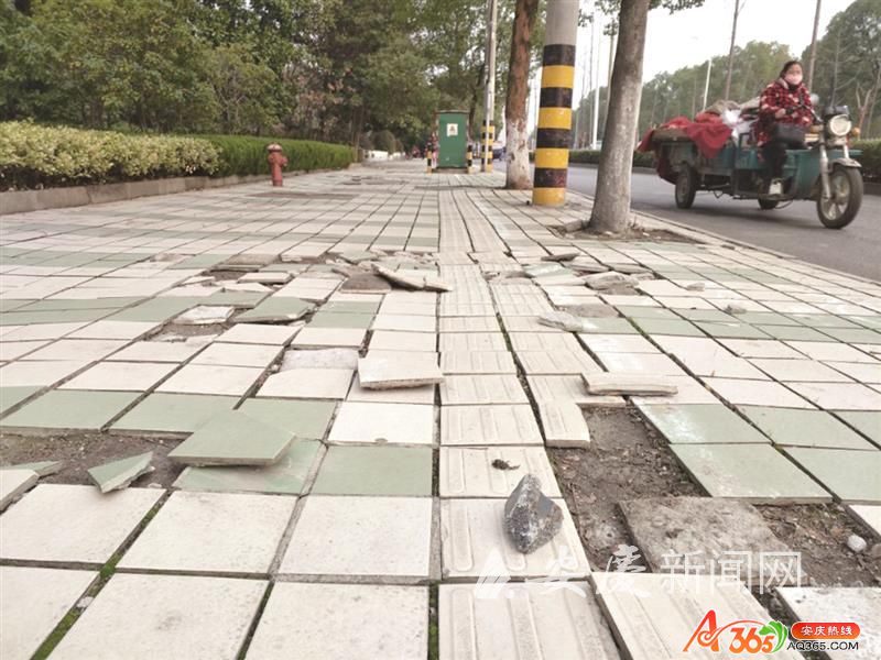 1002134618442972.jpg 2.jpg