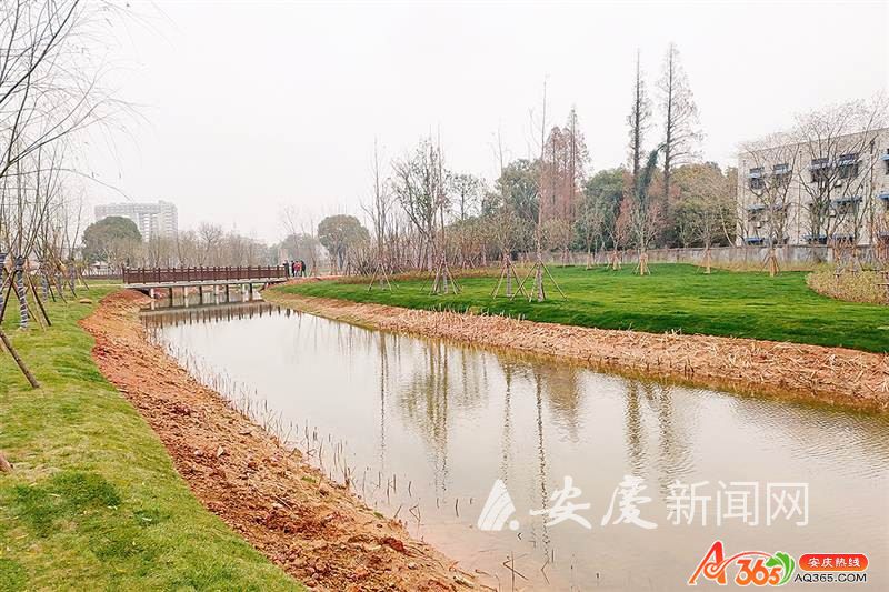 ع l_CB20200108121625188001_02.tif.jpg