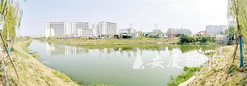 ع l_CB20200108121606250018_02.tif.jpg